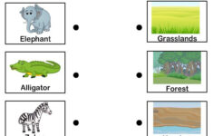 Animal Habitats For Kids Worksheets 99Worksheets