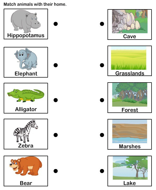 Animal Habitats For Kids Worksheets 99Worksheets