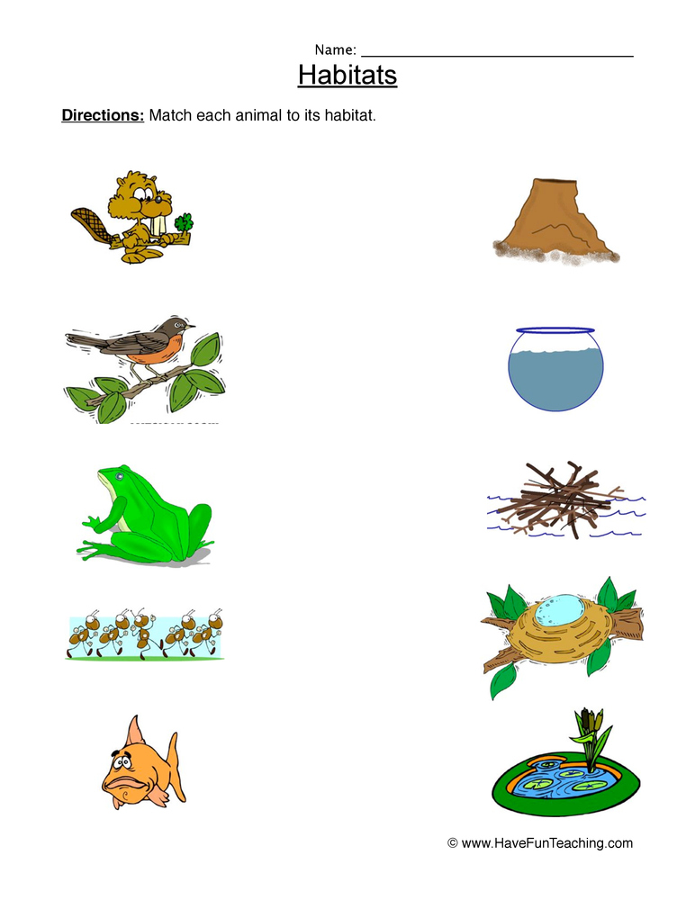 Animal Habitats Matching Worksheet Have Fun Teaching