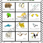 Animal Habitats Worksheets Db Excel
