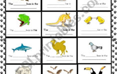 animal habitats worksheets db excel Animal Habitats Worksheets Db excel