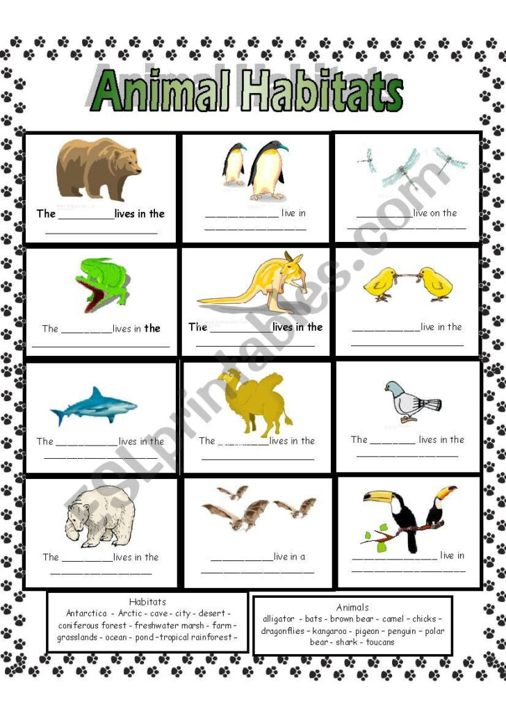 Free Printable Worksheets Animal Habitats
