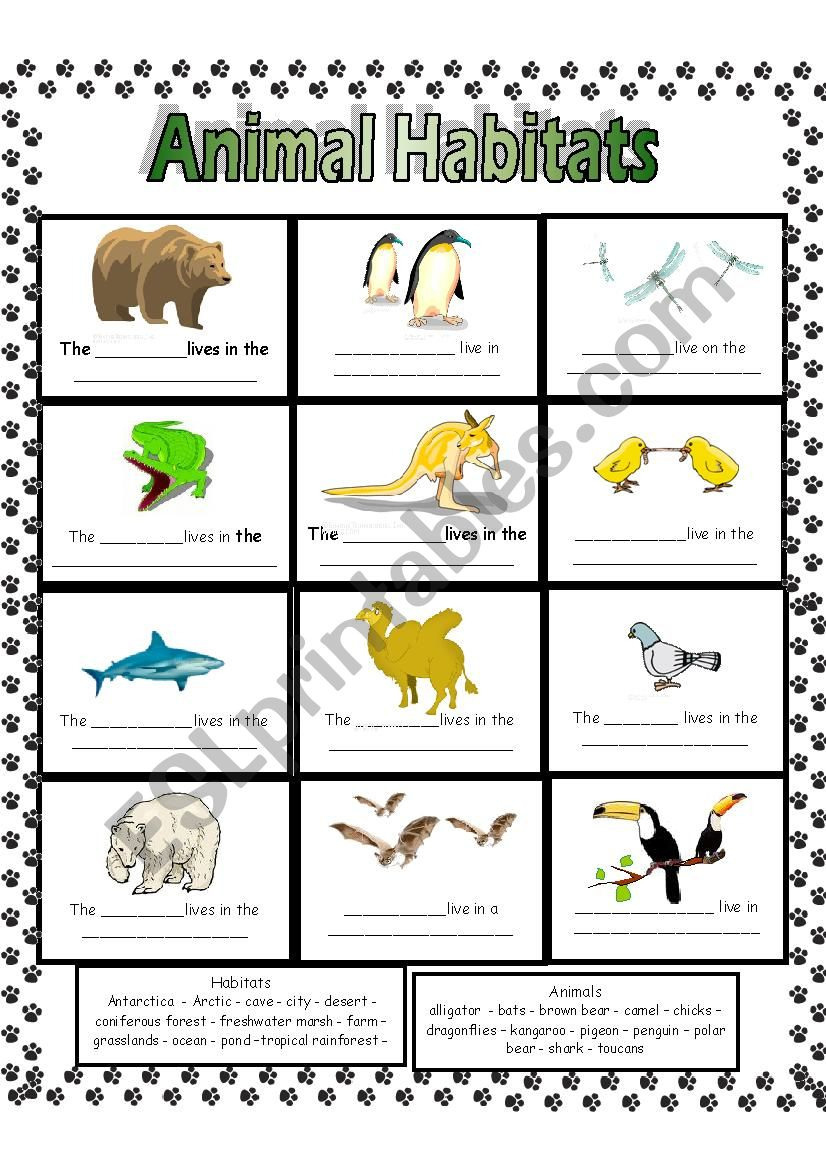 Animal Habitats Worksheets Db excel