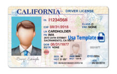 california drivers license template california drivers license California Drivers License Template California Drivers License