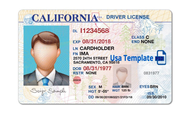 Free Printable Fake Drivers License