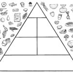 Food Pyramid Worksheet Free Esl Printable Worksheets Madeteachers