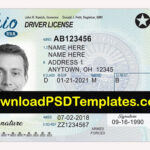 Free Printable Fake Drivers License Free Printable
