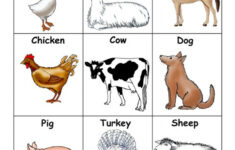 Free Printable Farm Animal Flash Cards Printable Card Free