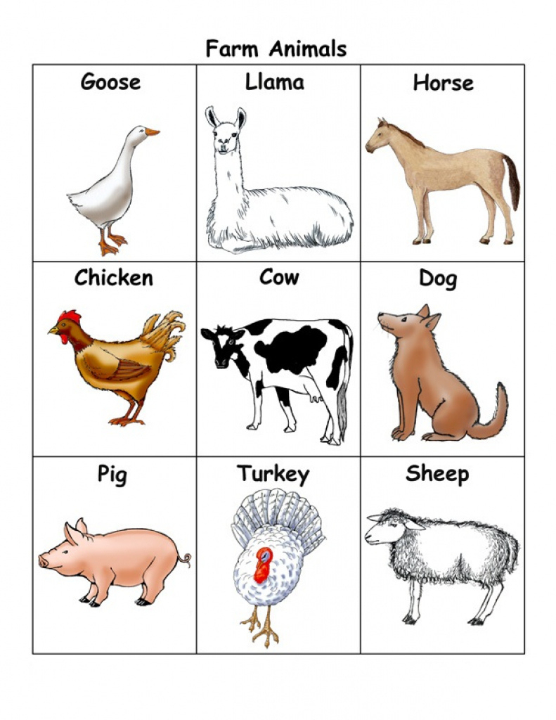 Free Printable Farm Animal Flash Cards Printable Card Free