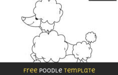 Poodle Template Large