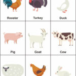 Preschool Farm Animal Flash Cards In 2020 Animal Flashcards Alphabet