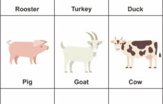 Preschool Farm Animal Flash Cards In 2020 Animal Flashcards Alphabet