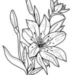 Easter Lily   Coloring Pages For Kids Inside Easter Lily Coloring Page Printable