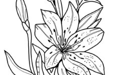 Easter Lily - Coloring Pages For Kids inside Easter Lily Coloring Page Printable