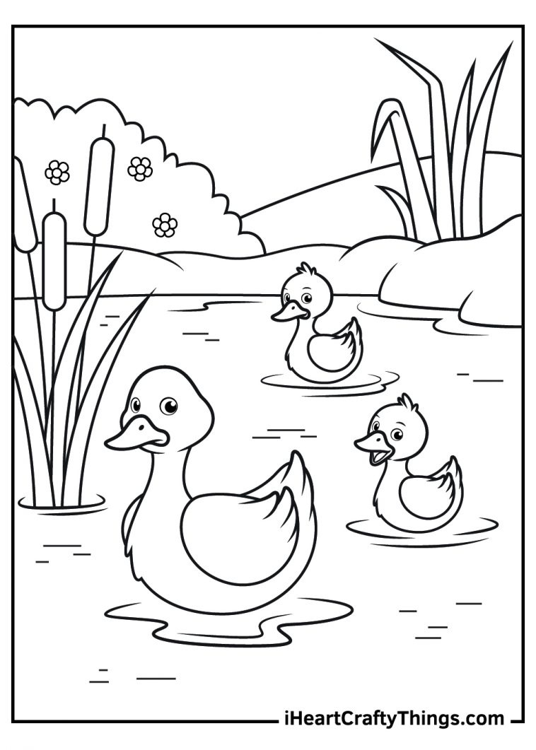15 Duck Coloring Pages (100% Free Printables) regarding Free Duck Printables