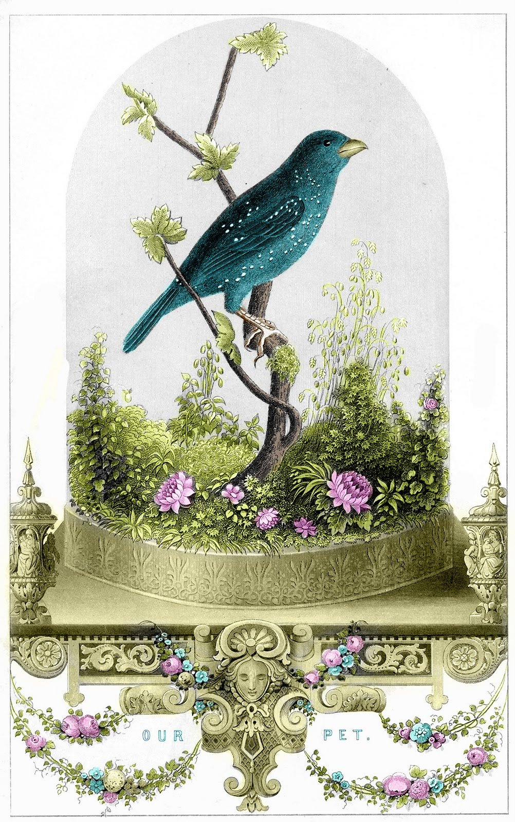 25 Free Vintage Bird Printable Images | Remodelaholic with regard to Fairy Graphics Free Printables