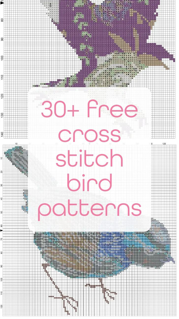 30+ Free Cross Stitch Bird Patterns within Free Printable Cross Stitch Patterns