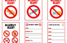 Allergy Alert | Classroom Poster Signs | Decor | Visual pertaining to Free Printable Food Allergy Signs