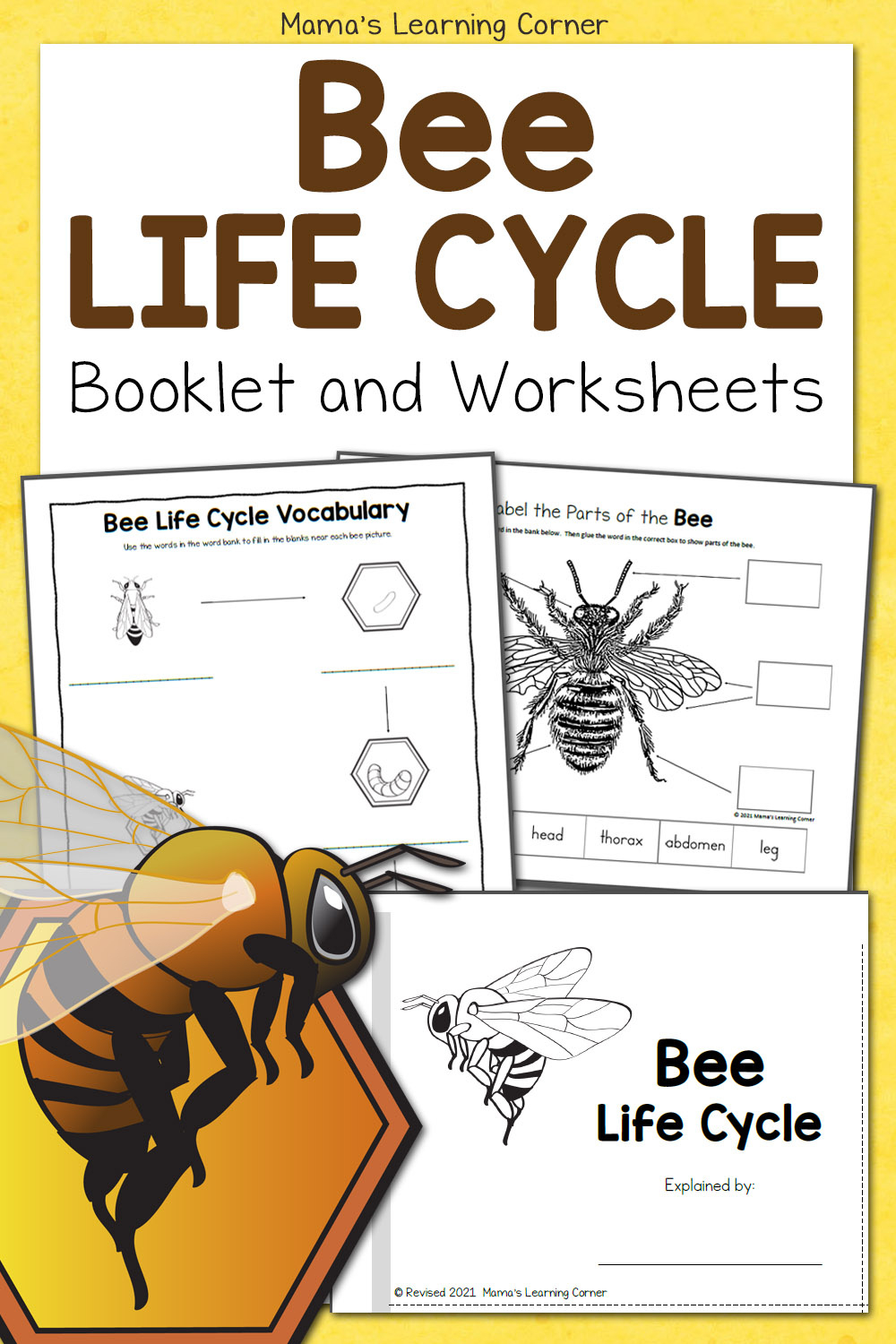 Bee Life Cycle Worksheets - Mamas Learning Corner with regard to Free Printable Bee Life Cycle Worksheets