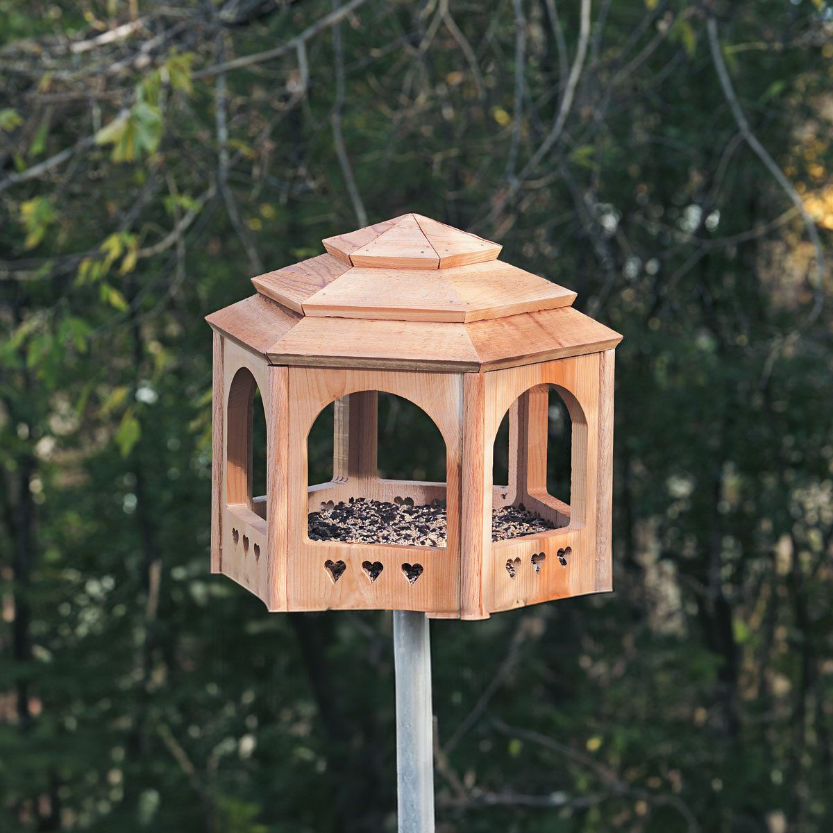 Bird Feeder Gazebo Plan You Can Build In A Day within Bird Feeder Patterns Free Printable