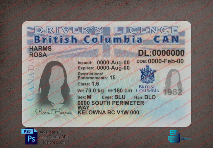 Free Printable Driver’s License Template