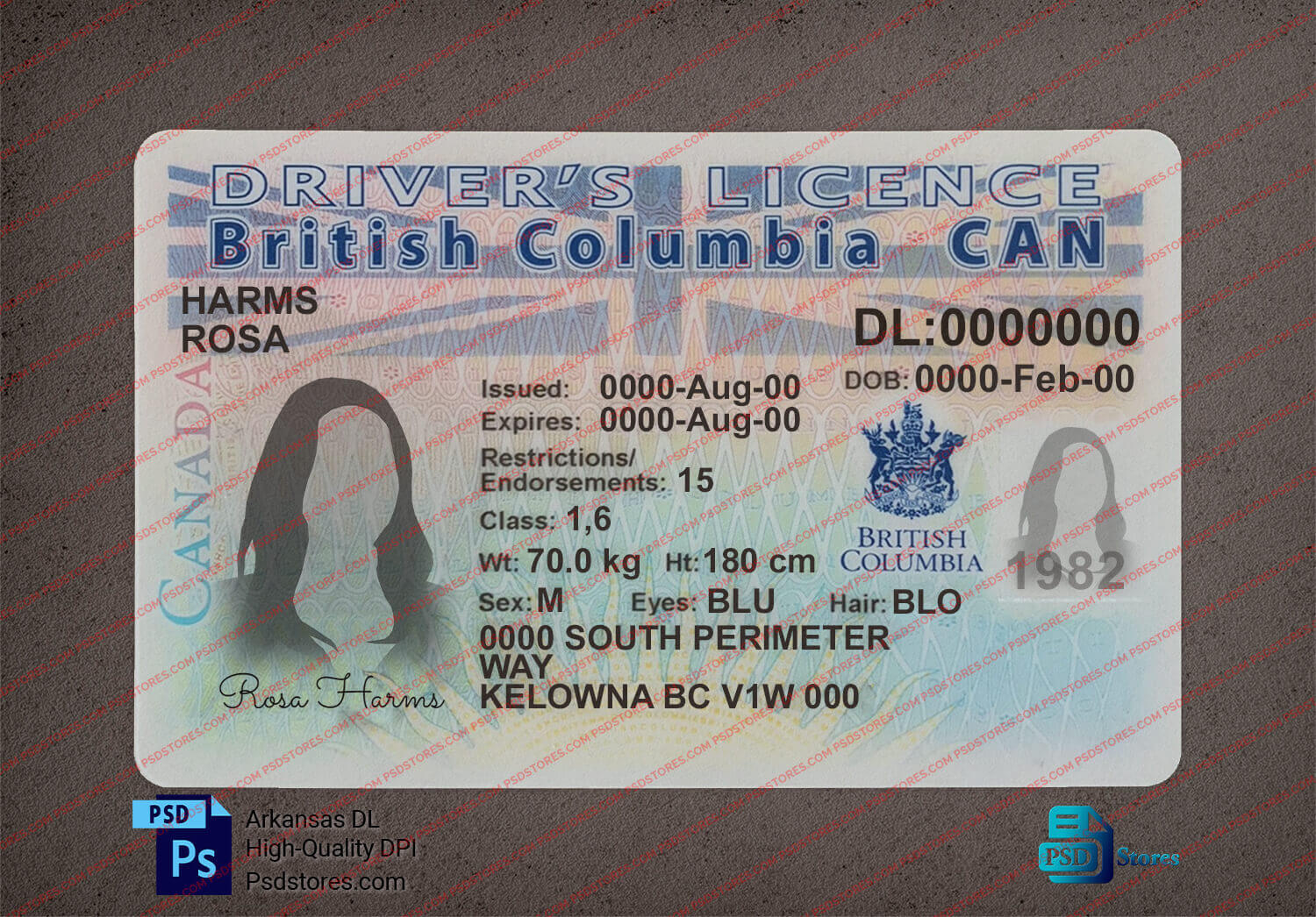 British Columbia Driver License Template - Psd Stores regarding Free Printable Driver&amp;amp;#039;s License Template