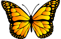 Butterfly Svg Files (Printable Templates, Patterns, &amp; Clipart inside Free Printable Butterfly