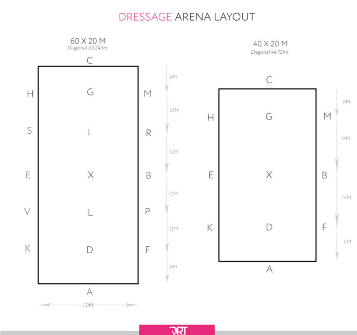 Free Printable Dressage Tests