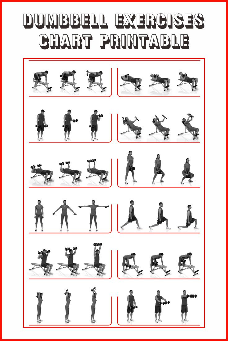 dumbbell exercises chart 10 free pdf printables printablee intended for dumbbell exercise chart printable free Dumbbell Exercises Chart - 10 Free Pdf Printables | Printablee intended for Dumbbell Exercise Chart Printable Free