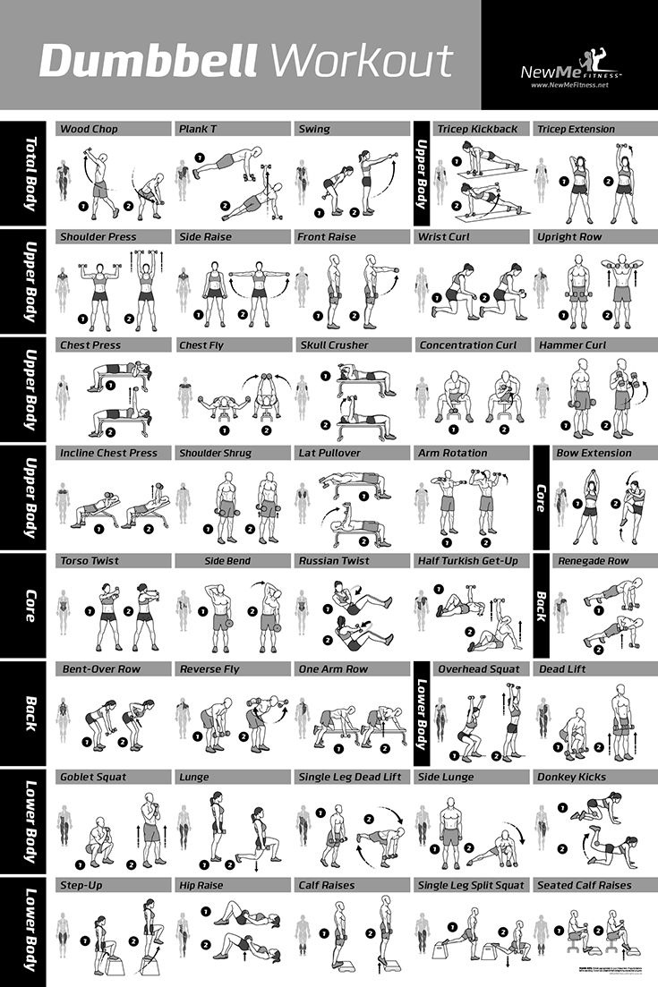 Dumbbell Workout Exercise Poster - Laminated - Strength Training inside Chart Of Dumbbell Exercises Free Printable