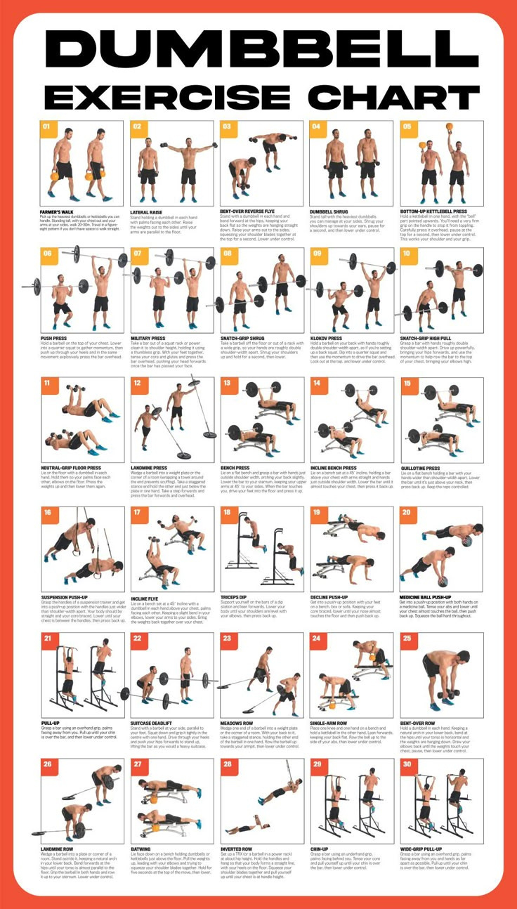 Dumbbell Workout Poster - 10 Free Pdf Printables | Printablee with regard to Chart of Dumbbell Exercises Free Printable