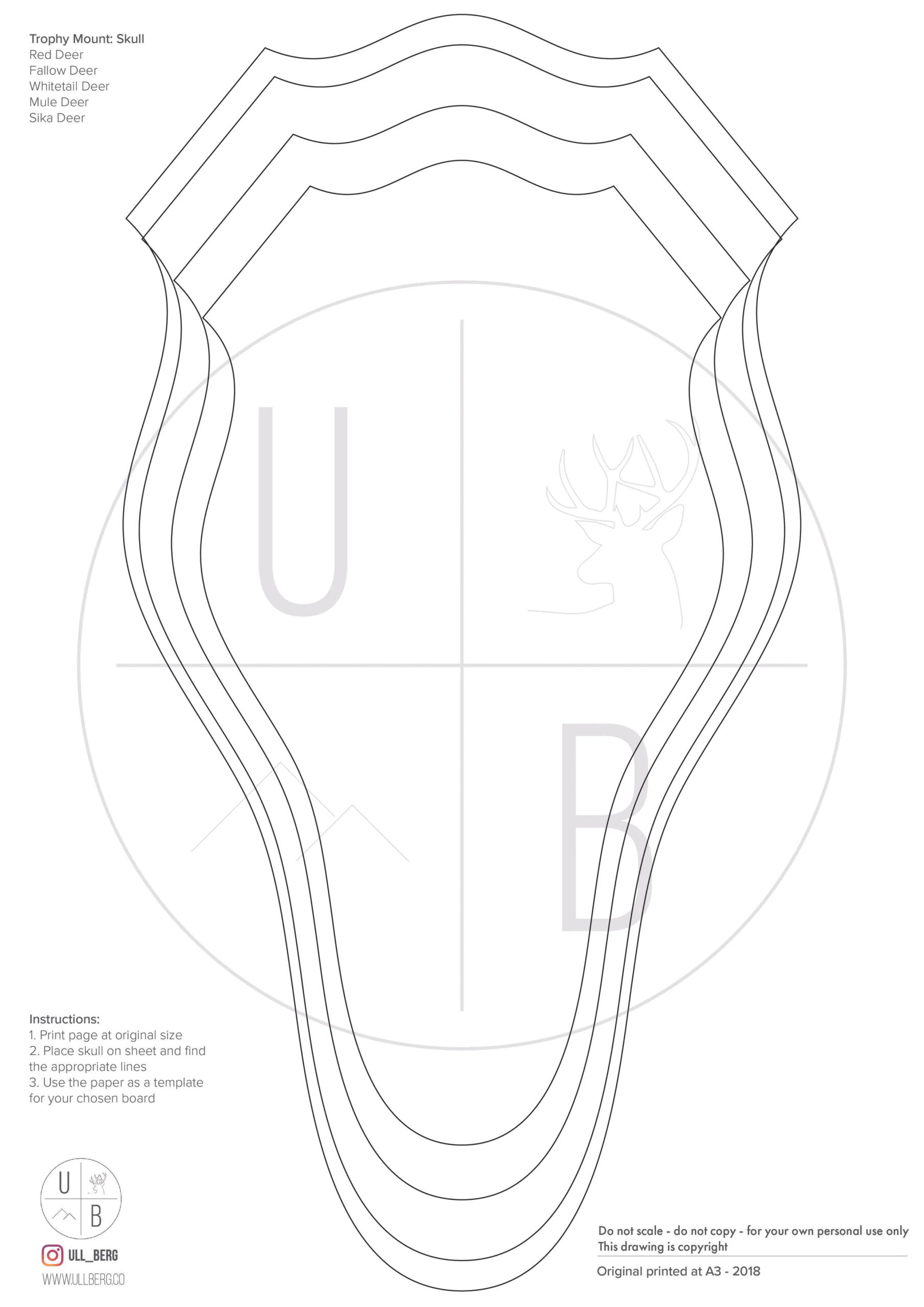 European Deer Skull Mount Plaque Large Knapped Arrowhead Englsh in Free Printable Deer Plaque Template