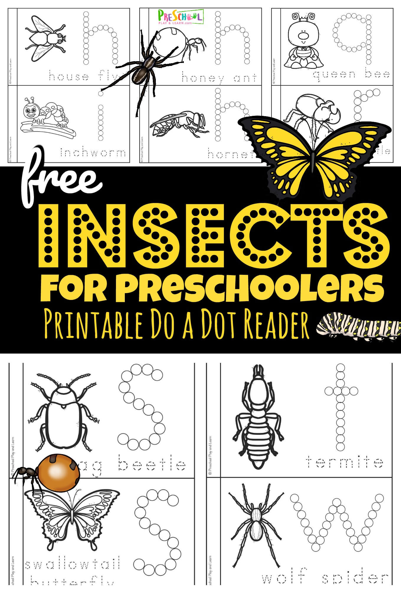 🕷🐞 🦋 Free Insects For Preschoolers Printable Book pertaining to Free Insect Printables