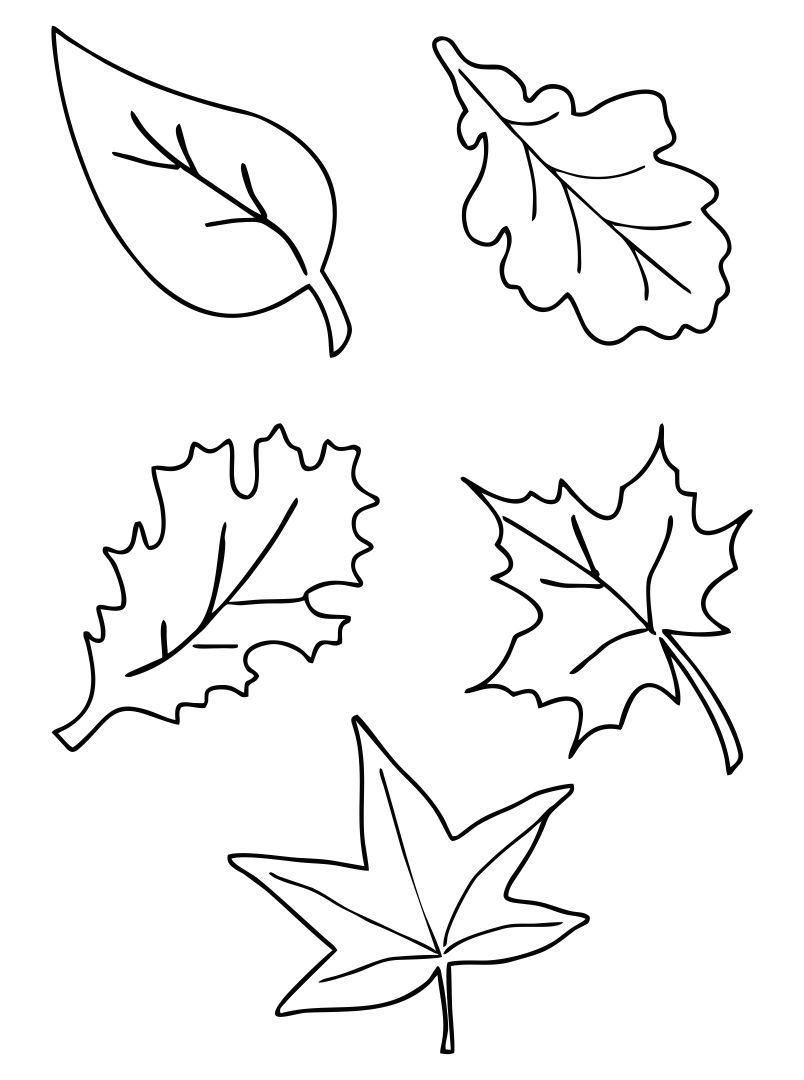 Fall Leaf Printables - Printable Party Favors throughout Free Printable Pictures Of Leaves