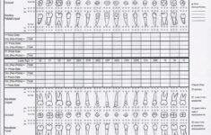 File:periodontal Chart Illustrated – Wikipedia within Free Printable Blank Perio Chart