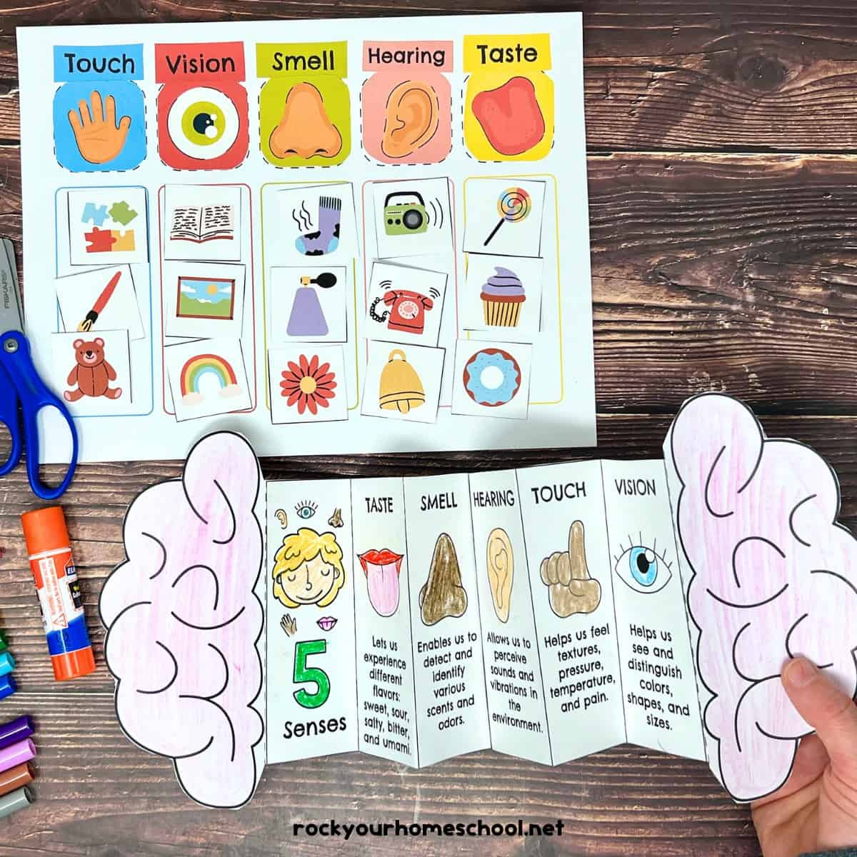 Five Senses Printables Pack For Sorting Fun And More (Free) - Rock in 5 Senses Free Printables