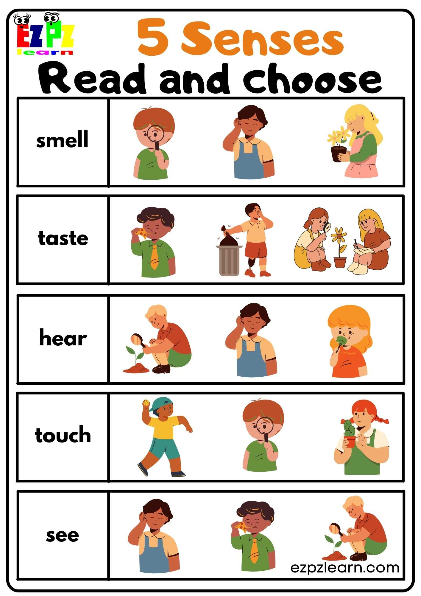 Five Senses Read And Choose Worksheet For Kindergarten And Esl in 5 Senses Free Printables