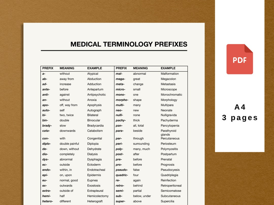 Flashcard Medical Terminology Medical Terminology Flashcards with regard to Flashcards For Medical Terminology Free Printable