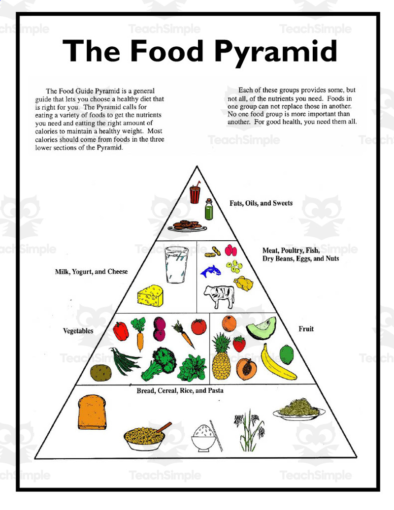 Food Pyramid Worksheet intended for Free Printable Food Pyramid Worksheets