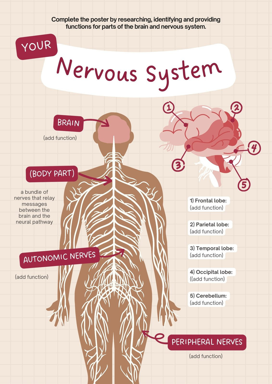 Free Editable Printable Anatomy Poster Templates | Canva throughout Free Anatomy Printables