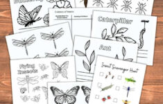 Free Insect Printables And Activities For Kids – Nature Inspired for Free Minibeast Printables