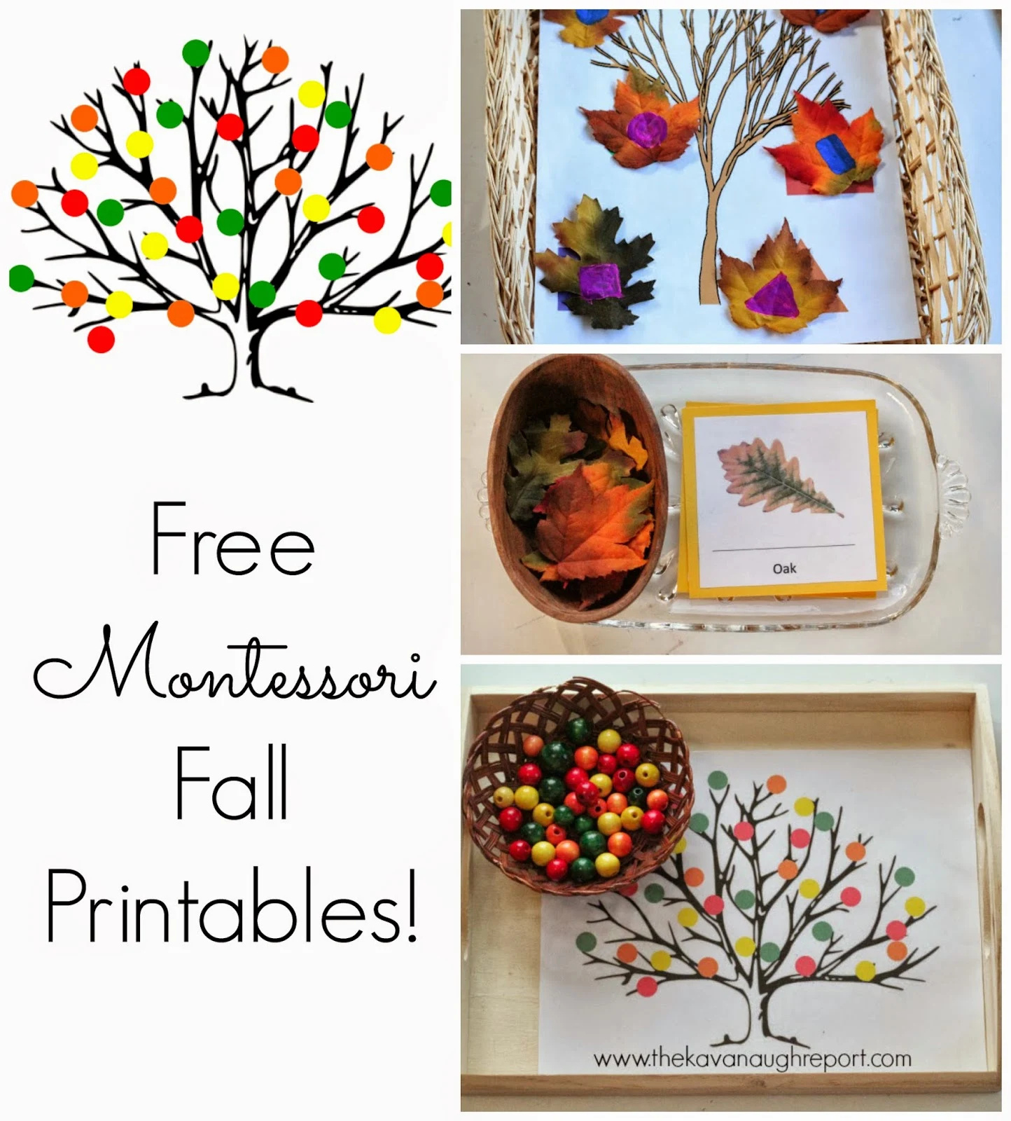 free montessori inspired fall printables intended for free montessori language printables Free Montessori Inspired Fall Printables intended for Free Montessori Language Printables