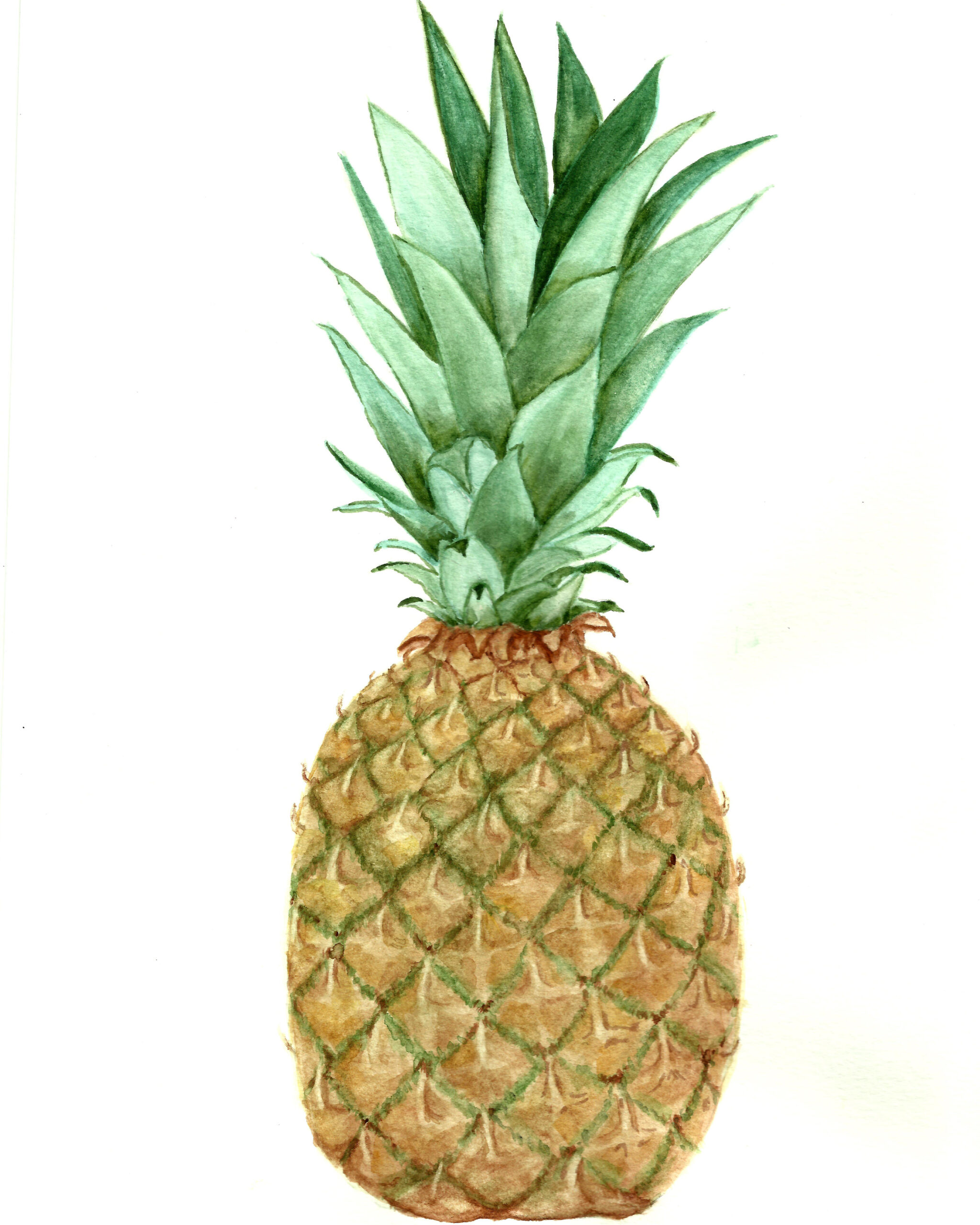 Free Pineapple Watercolor Printable intended for Free Printable Pineapple
