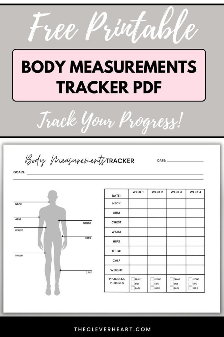 Body Measurement Chart Printable Free