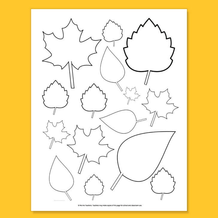 Free Printable Pictures of Leaves
