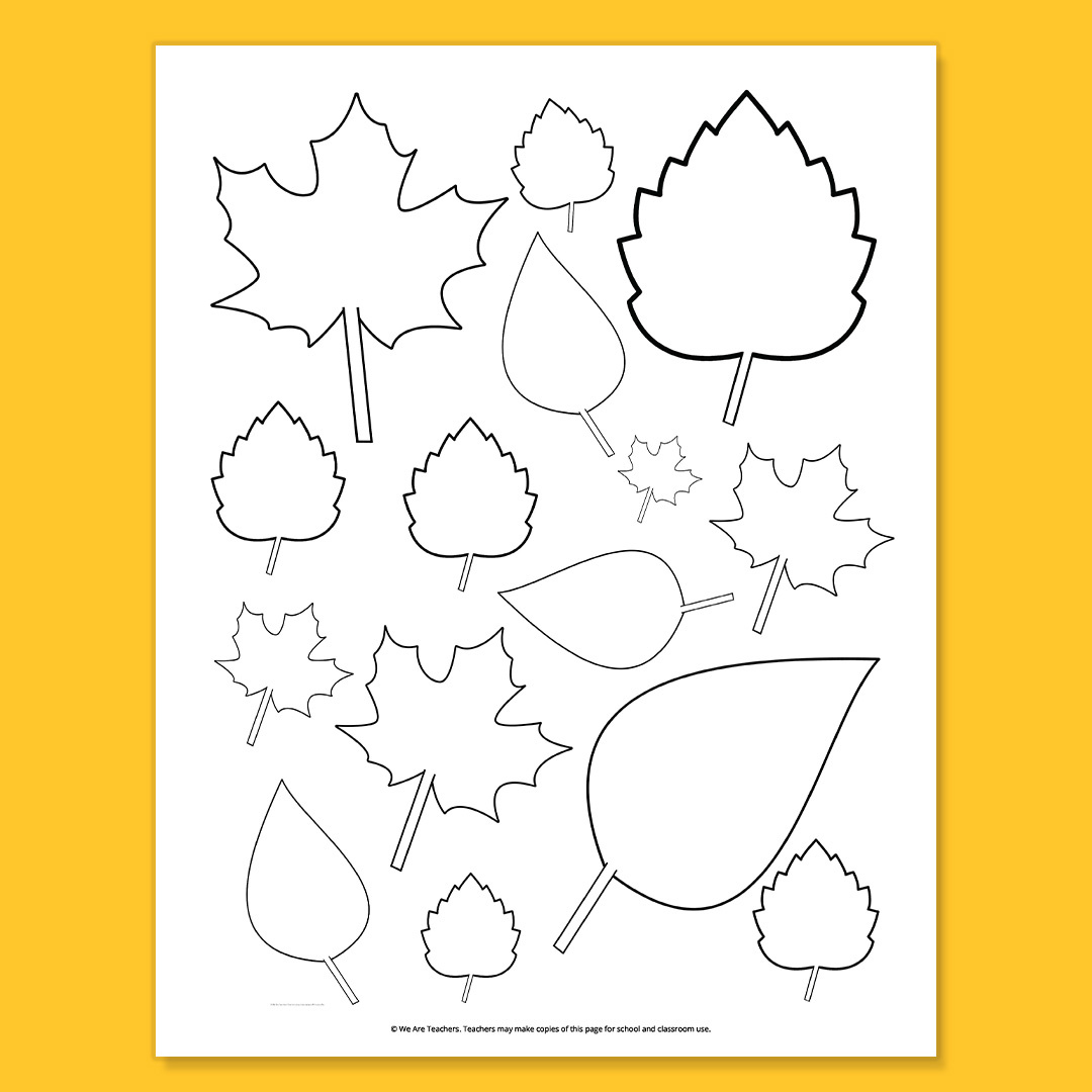 Free Printable Leaf Template Bundle For Fall in Free Printable Pictures of Leaves