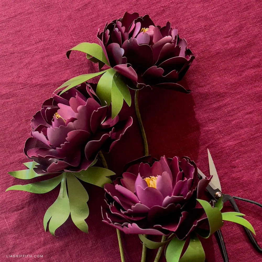 Frosted Paper Flower Tutorials And Patterns - Lia Griffith within Lia Griffith Free Templates