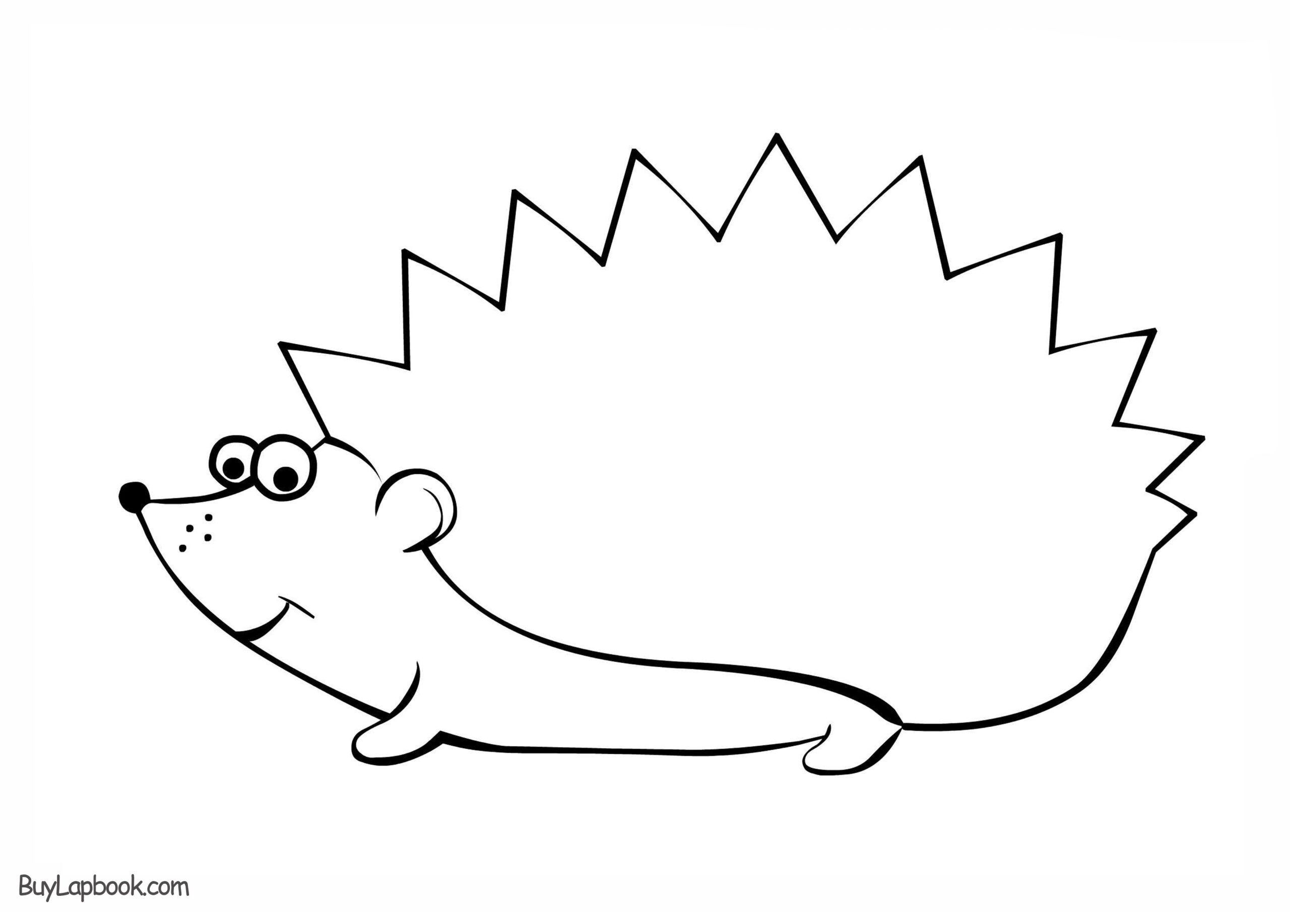 Hedgehogs. Free Printable, Coloring And Activity Page For Kids intended for Free Printable Hedgehog Template