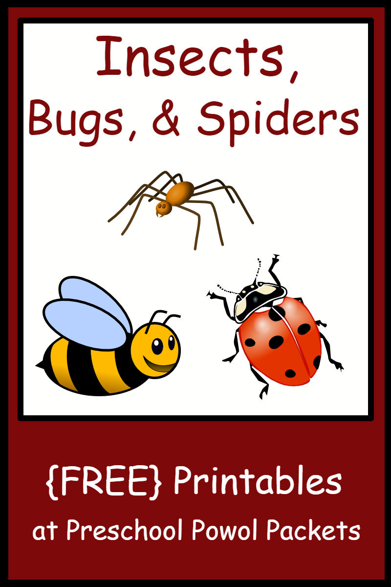 Insect, Bug, &amp;amp; Spider Themed {Free} Preschool Printables inside Free Insect Printables