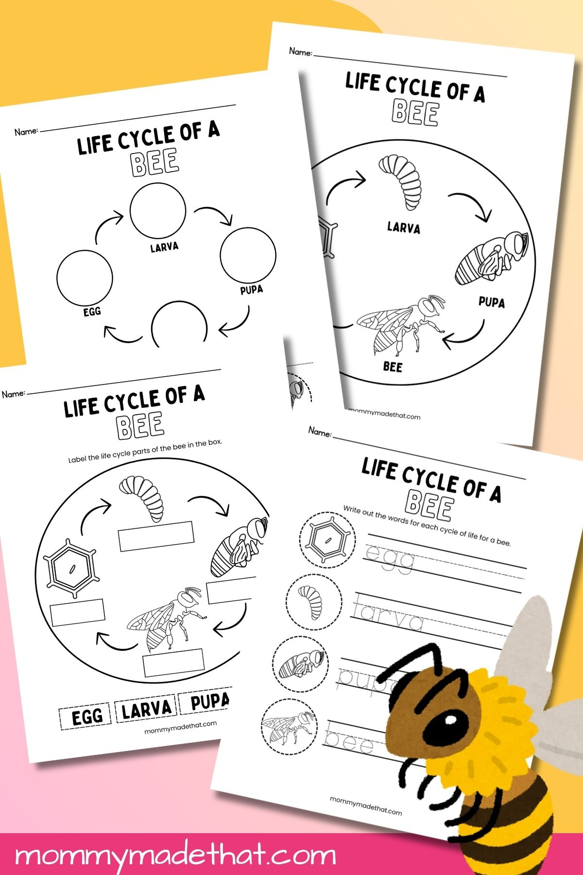 Life Cycle Of A Bee Worksheets (Free Printables) in Free Printable Bee Life Cycle Worksheets